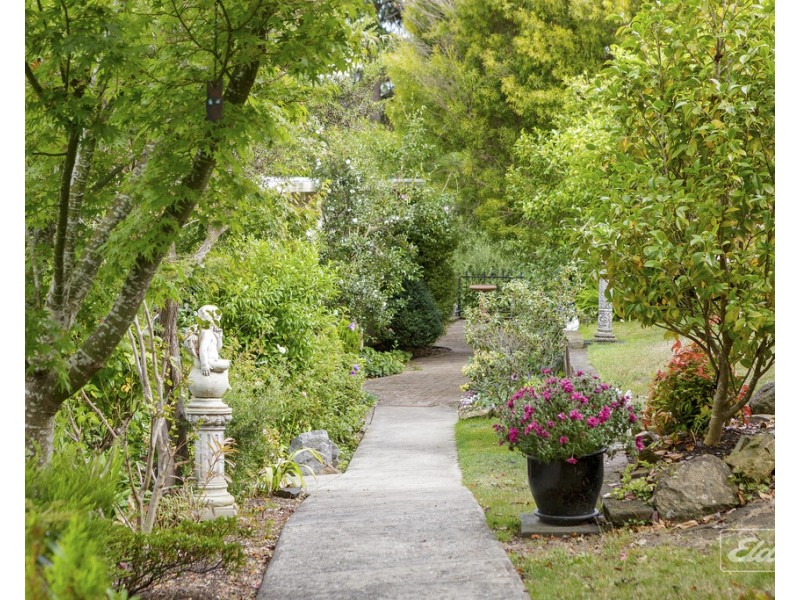 325 Windermere Road, Windermere TAS 7252