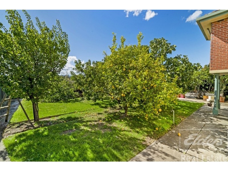 29 Guy Street, Kings Meadows TAS 7249