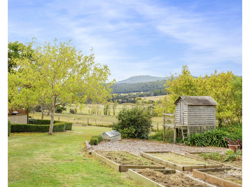 407 Los Angelos Road, Swan Bay TAS 7252