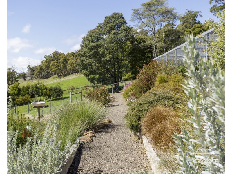 17 Evans Road, Karoola TAS 7267