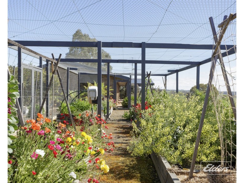 17 Evans Road, Karoola TAS 7267