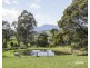 17 Evans Road, Karoola TAS 7267