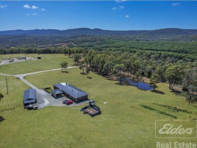 44 East Arm Road, Hillwood TAS 7252