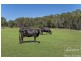 44 East Arm Road, Hillwood TAS 7252