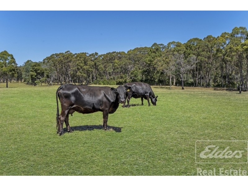 44 East Arm Road, Hillwood TAS 7252