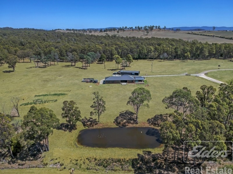 44 East Arm Road, Hillwood TAS 7252