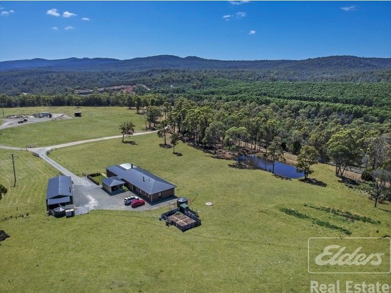 44 East Arm Road, Hillwood TAS 7252