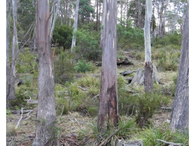 Lot 1 Pelham Road, Pelham TAS 7030