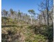 Lot 1 Pelham Road, Pelham TAS 7030