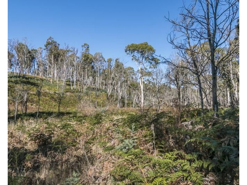 Lot 1 Pelham Road, Pelham TAS 7030