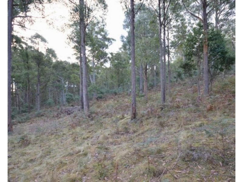 Lot 1 Pelham Road, Pelham TAS 7030
