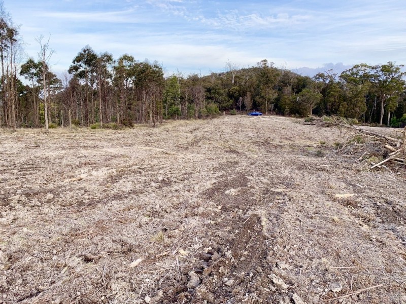 Lot 1 Pipers River Road, Pipers River TAS 7252