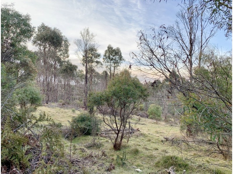 Lot 1 Pipers River Road, Pipers River TAS 7252