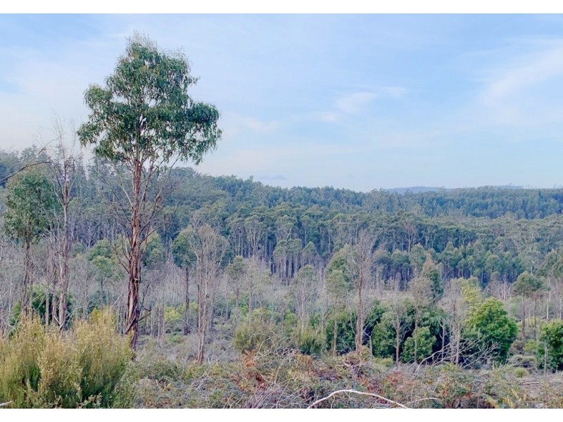 Lot 1 Pipers River Road, Pipers River TAS 7252
