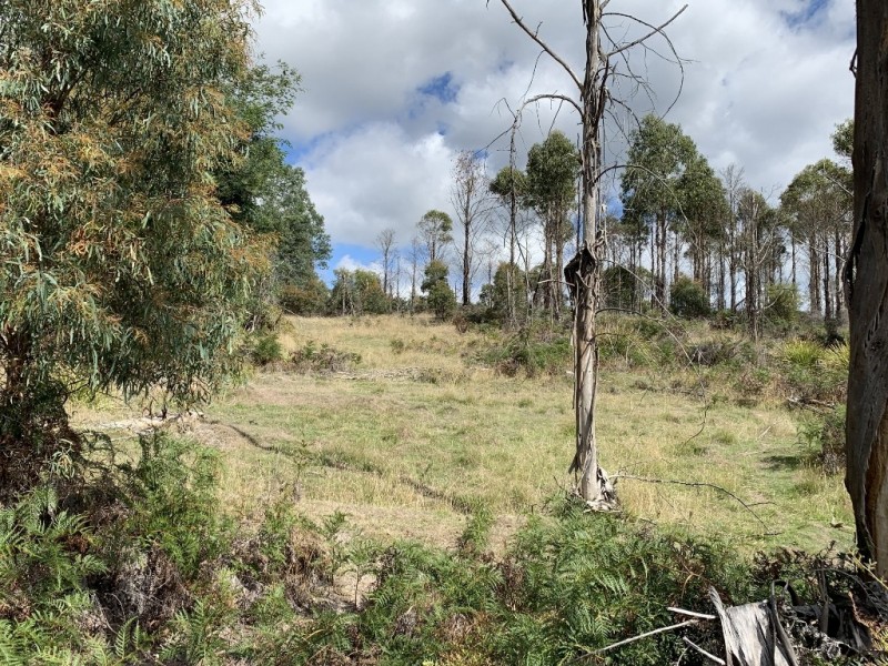 Lot 1 Pipers River Road, Pipers River TAS 7252