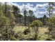 Lot 1 Pipers River Road, Pipers River TAS 7252