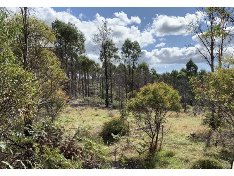 Lot 1 Pipers River Road, Pipers River TAS 7252