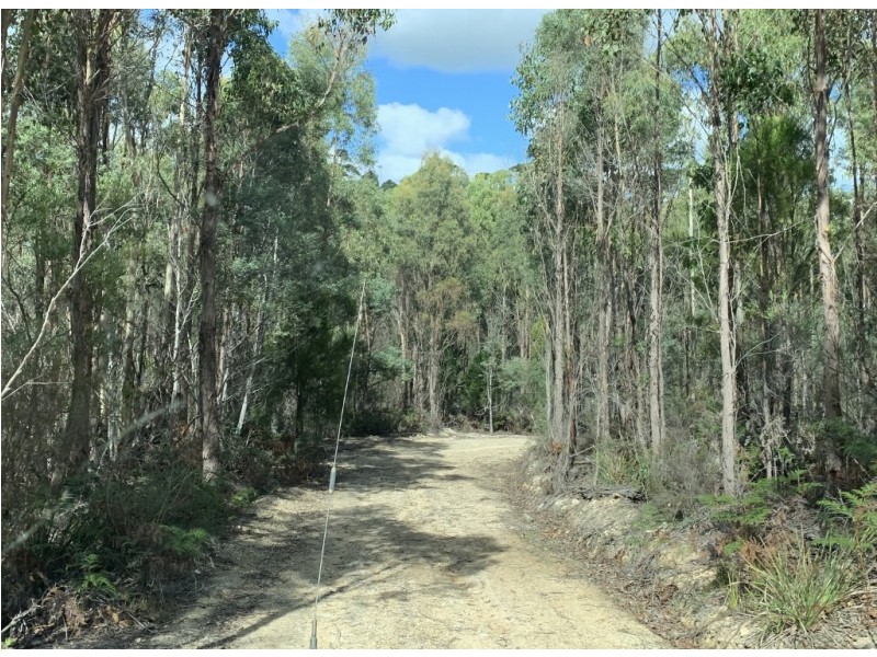 Lot 1 Pipers River Road, Pipers River TAS 7252