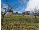 200A Alanvale Road, Newnham TAS 7248