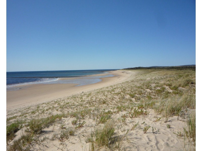 11-13 Davis Street, Beechford TAS 7252