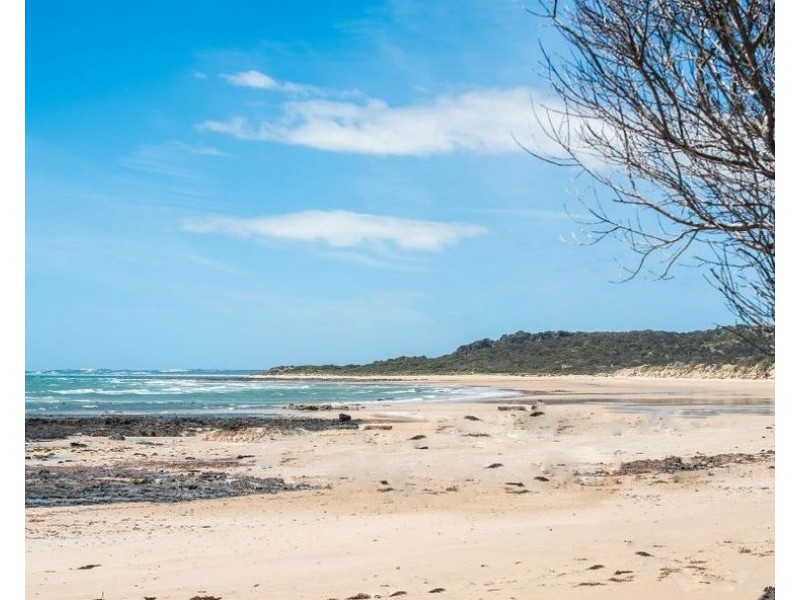 4 Bush Haven Drive, Lulworth TAS 7252