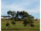 4 Bush Haven Drive, Lulworth TAS 7252