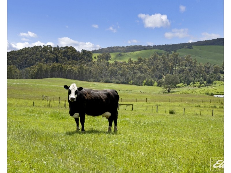 11 Paling Track, Bangor TAS 7267