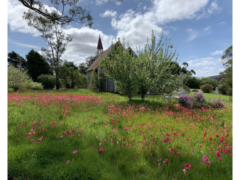 11 Paling Track, Bangor TAS 7267