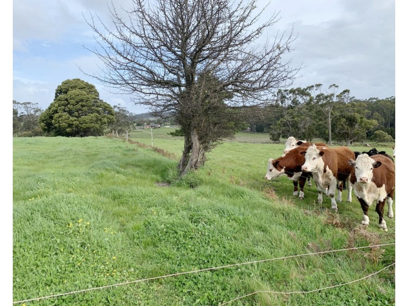 226 Valley Road, Sidmouth TAS 7270