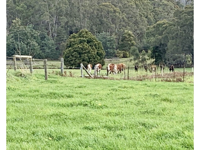 226 Valley Road, Sidmouth TAS 7270