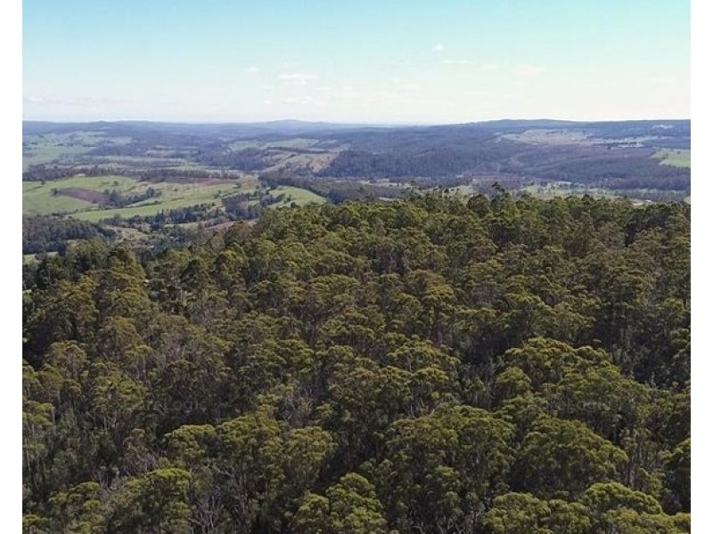 Lot 3 Wulfs Road, Karoola TAS 7267