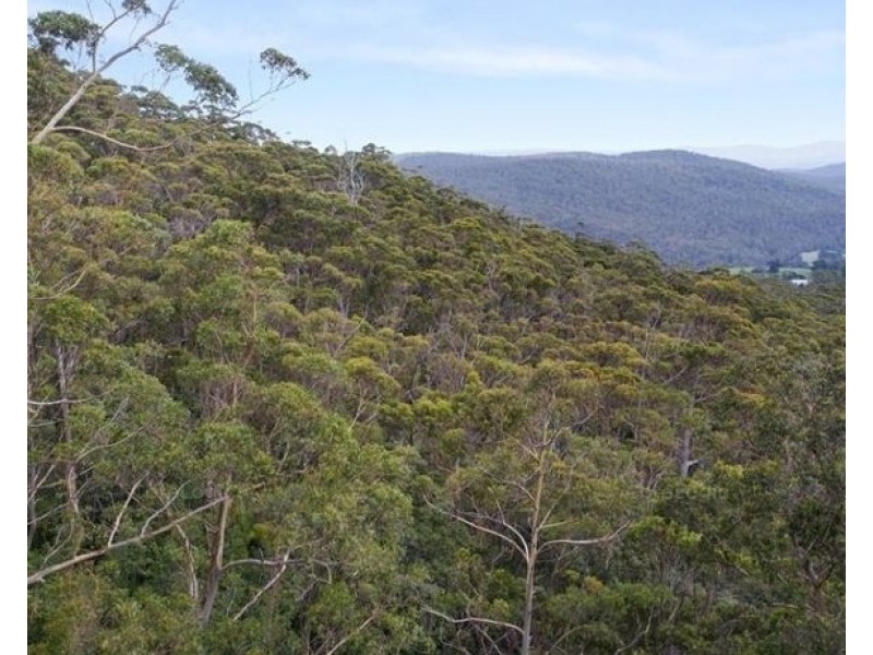Lot 3 Wulfs Road, Karoola TAS 7267