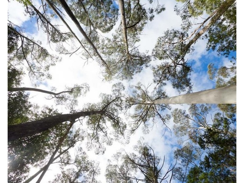 Lot 3 Wulfs Road, Karoola TAS 7267