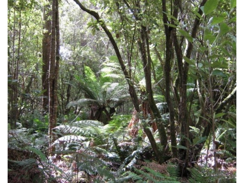 Lot 3 Wulfs Road, Karoola TAS 7267