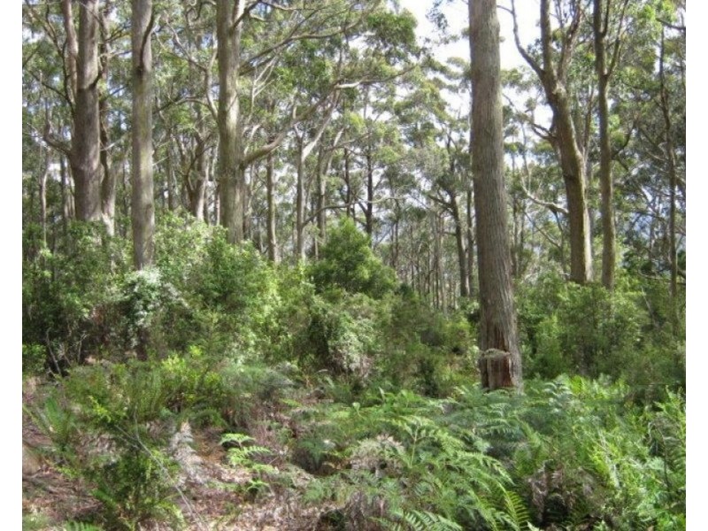 Lot 3 Wulfs Road, Karoola TAS 7267