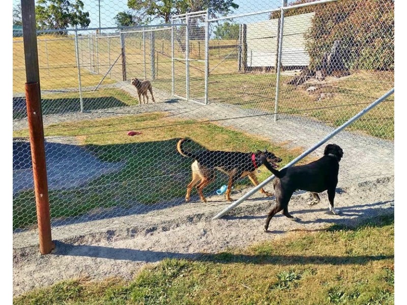 3659 West Tamar Highway, Sidmouth TAS 7270