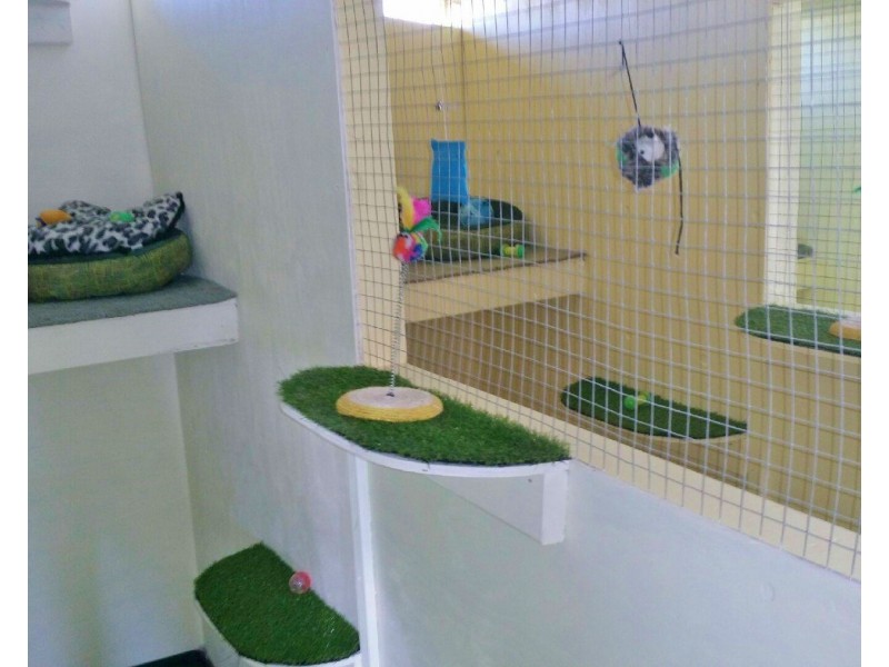 3659 West Tamar Highway, Sidmouth TAS 7270