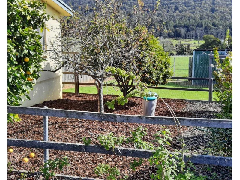 3659 West Tamar Highway, Sidmouth TAS 7270