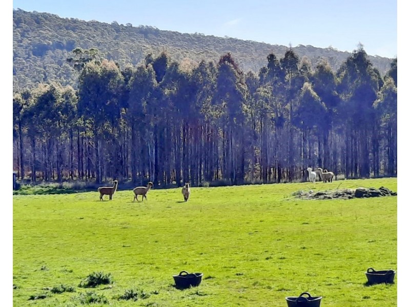 3659 West Tamar Highway, Sidmouth TAS 7270