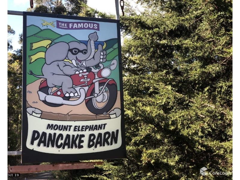 824 Elephant Pass Road, St Marys TAS 7215