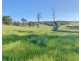 Lot 1 Batman Highway, Sidmouth TAS 7270