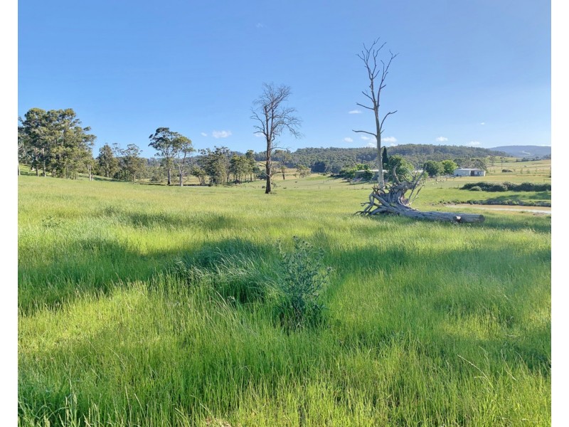 Lot 1 Batman Highway, Sidmouth TAS 7270