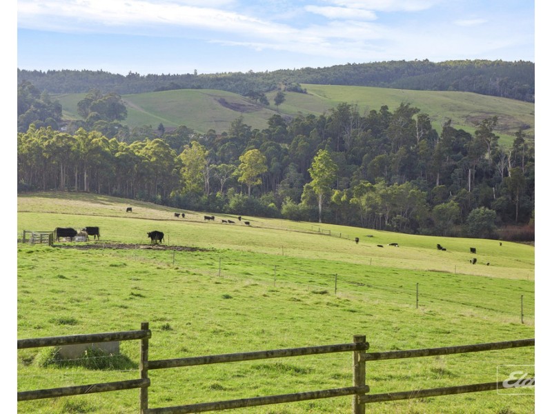 3 Paling Track, Bangor TAS 7267