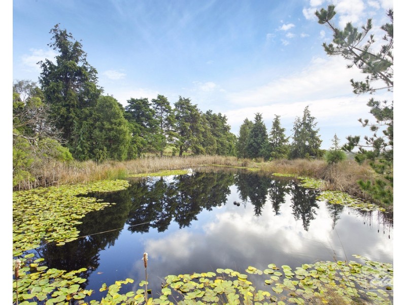 3 Paling Track, Bangor TAS 7267