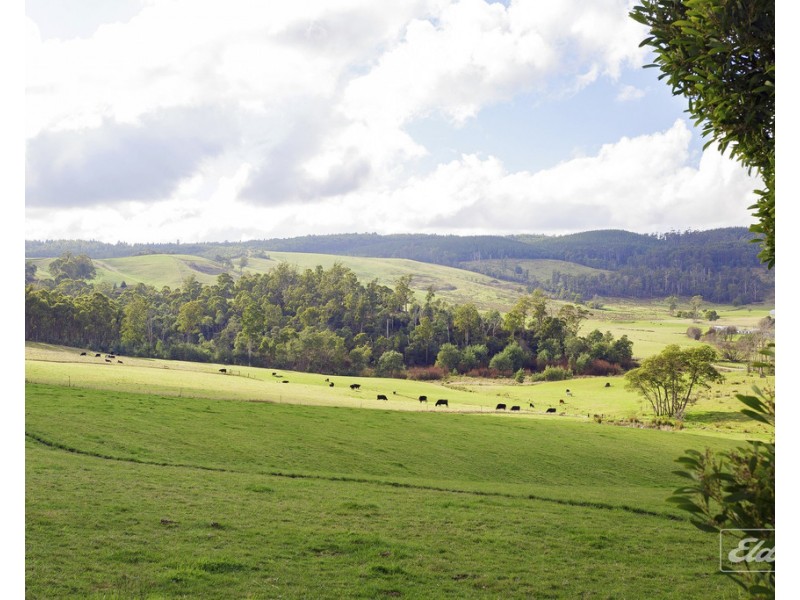 3 Paling Track, Bangor TAS 7267