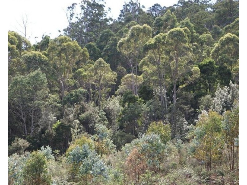 Lot 6 Lanes Tier Road, Ouse TAS 7140