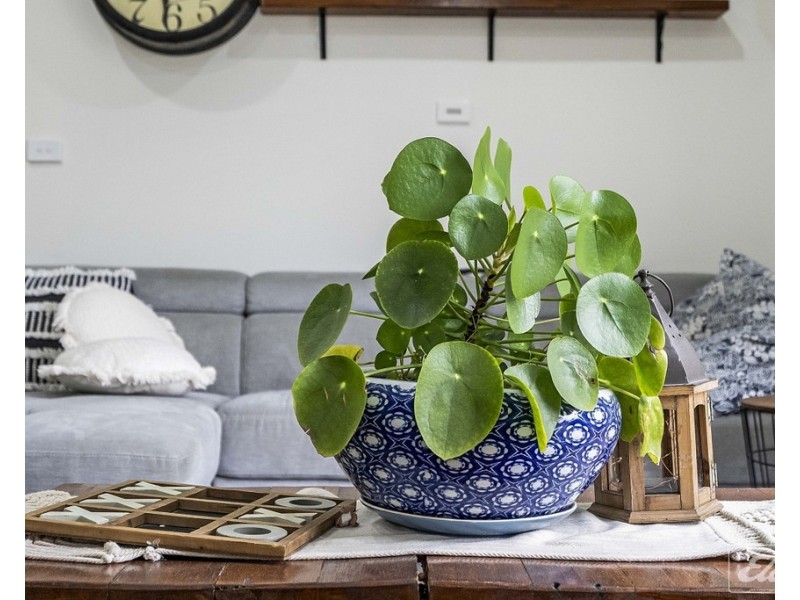 126 Hillwood Jetty Road, Hillwood TAS 7252