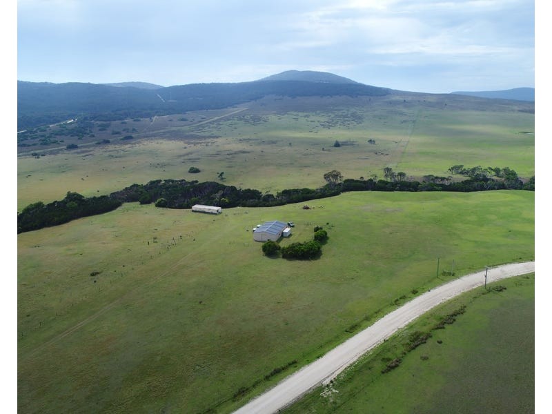 4596 Palana Road, Palana TAS 7255