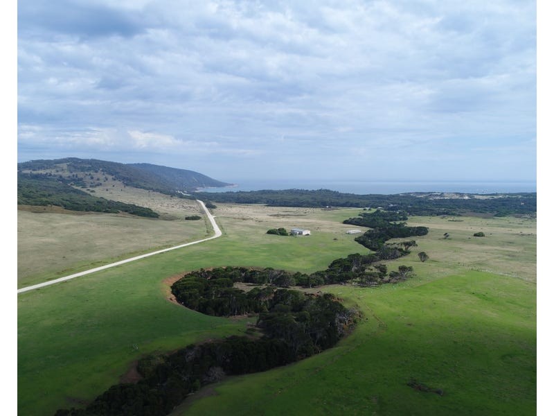 4596 Palana Road, Palana TAS 7255