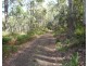 30 Lorikeet Lane, Rosevale TAS 7292